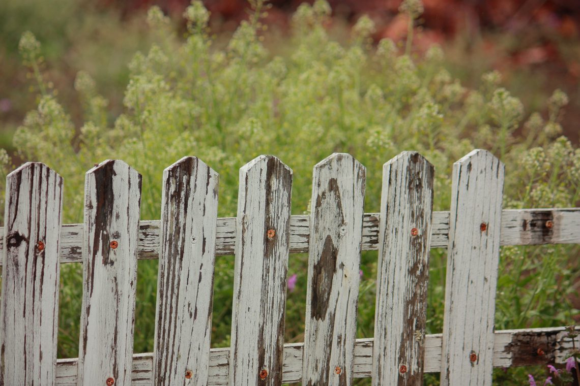 Photo of a white picket fence with eroding paint in front of some green bushes