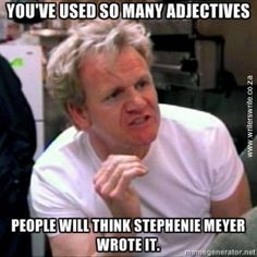A meme of Gordon Ramsey telling someone off. It reads, "You've used so many adjectives people will think Stephanie Meyer wrote it." 