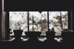 Photo of a line of baby potted plants silhouetted in front of a window.