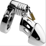 the Master Series Incarcerator Stainless Steel locking chastity cage. It is bright shiny silver covering the glans and an inch or so under the head of the cock.